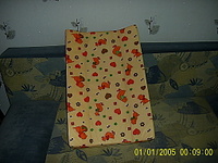 click for enlarge 1024 X 768 241,0 Kb picture