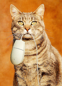 click for enlarge 372 X 512 252,8 Kb picture