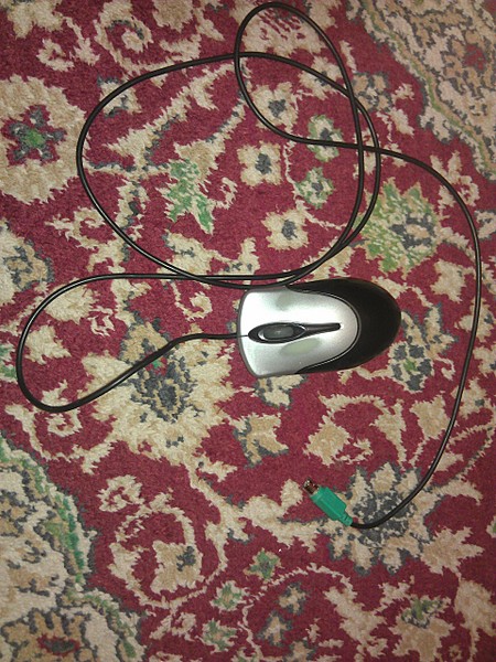 click for enlarge 1920 X 2560 524,0 Kb picture