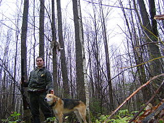 click for enlarge 640 X 480 129,3 Kb picture