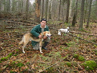 click for enlarge 640 X 480 127,7 Kb picture
