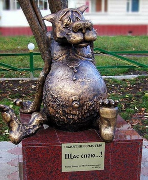 494 x 600
