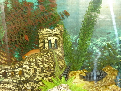click for enlarge 1920 X 1440 319,6 Kb picture