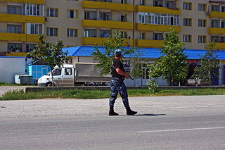 click for enlarge 500 X 333  97,6 Kb picture