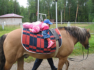 click for enlarge 400 X 300  89,4 Kb picture