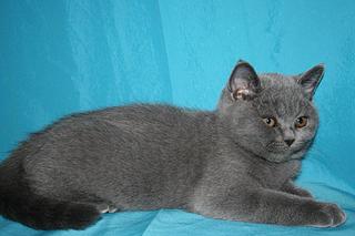 click for enlarge 1920 X 1280 280,8 Kb picture