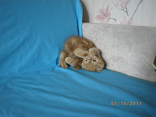 click for enlarge 1600 X 1200 179,1 Kb picture