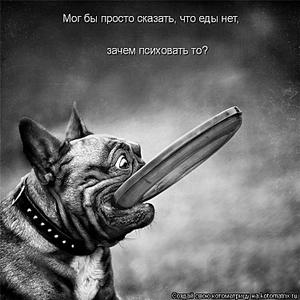 click for enlarge 750 X 750 72,9 Kb picture