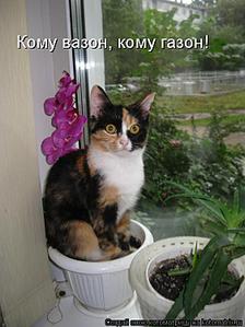 click for enlarge 562 X 750 54,5 Kb picture