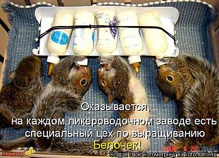 click for enlarge 640 X 462 80,2 Kb picture