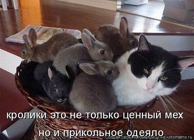 click for enlarge 700 X 505 54,8 Kb picture