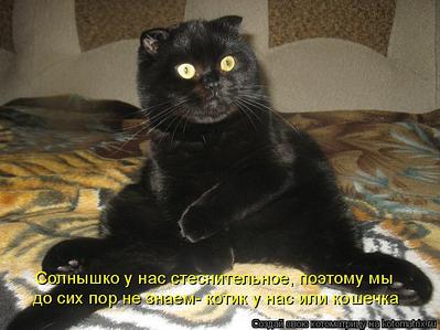 click for enlarge 750 X 562 63,1 Kb picture