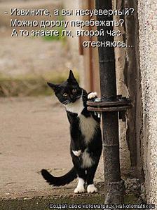 click for enlarge 467 X 625 68,5 Kb picture