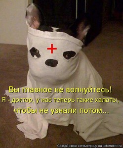 click for enlarge 480 X 577 62,5 Kb picture