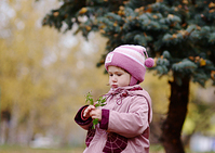 click for enlarge 793 X 561 375,4 Kb picture