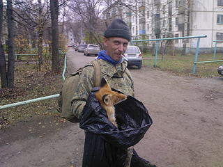 click for enlarge 1024 X 768 138,3 Kb picture