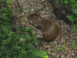 click for enlarge 1920 X 1440 377,8 Kb picture