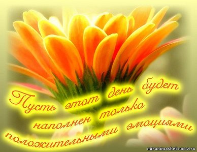 click for enlarge 600 X 463 55,2 Kb picture