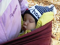 click for enlarge 314 X 235 28,2 Kb picture