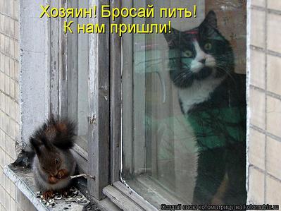click for enlarge 750 X 562  66,3 Kb picture