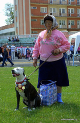 click for enlarge 293 X 450 291,2 Kb picture