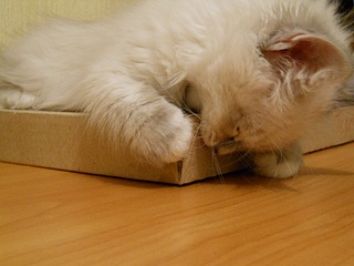 click for enlarge 816 X 612 183,7 Kb picture