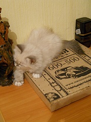 click for enlarge 612 X 816 256,8 Kb picture