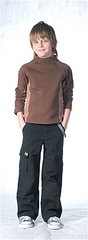 click for enlarge 155 X 422 36,1 Kb picture