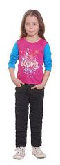 click for enlarge 170 X 465 11,3 Kb picture