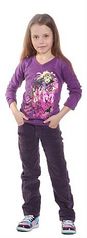 click for enlarge 170 X 465 12,9 Kb picture