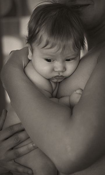 click for enlarge 1600 X 2654 207,0 Kb picture