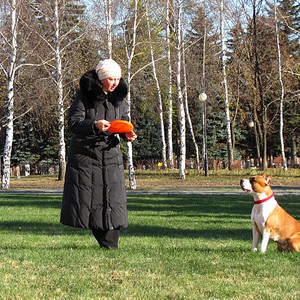 click for enlarge 1920 X 1917 713,4 Kb picture