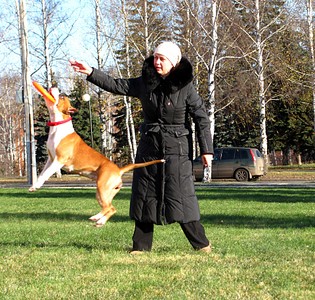 click for enlarge 1920 X 1827 522,7 Kb picture