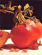 click for enlarge 379 X 500 38,2 Kb picture