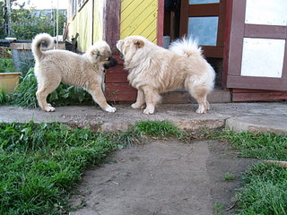 click for enlarge 1920 X 1440 780,8 Kb picture