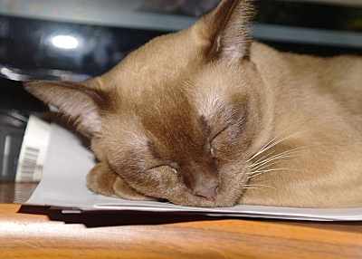 click for enlarge 800 X 572 247,4 Kb picture