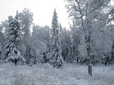 click for enlarge 900 X 675 216,5 Kb picture