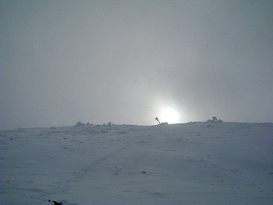 click for enlarge 900 X 675 173,0 Kb picture