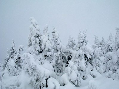 click for enlarge 900 X 675 168,5 Kb picture