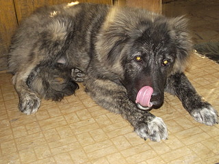 click for enlarge 1920 X 1440 690,4 Kb picture