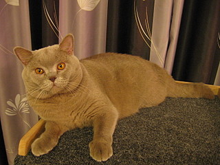 click for enlarge 1600 X 1200 671,0 Kb picture