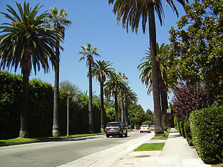 click for enlarge 800 X 600 175,0 Kb picture