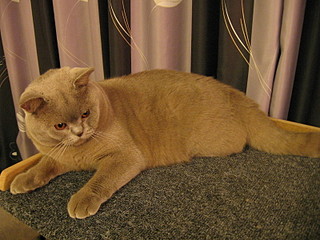 click for enlarge 1600 X 1200 728,5 Kb picture