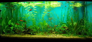 click for enlarge 1920 X 888 581,3 Kb picture