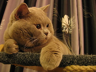 click for enlarge 1600 X 1200 668,1 Kb picture