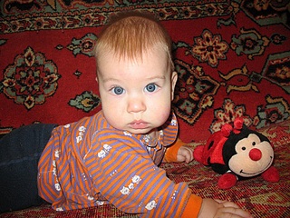 click for enlarge 816 X 612 252,5 Kb picture