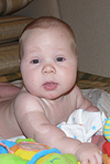 click for enlarge 307 X 458 144,4 Kb picture