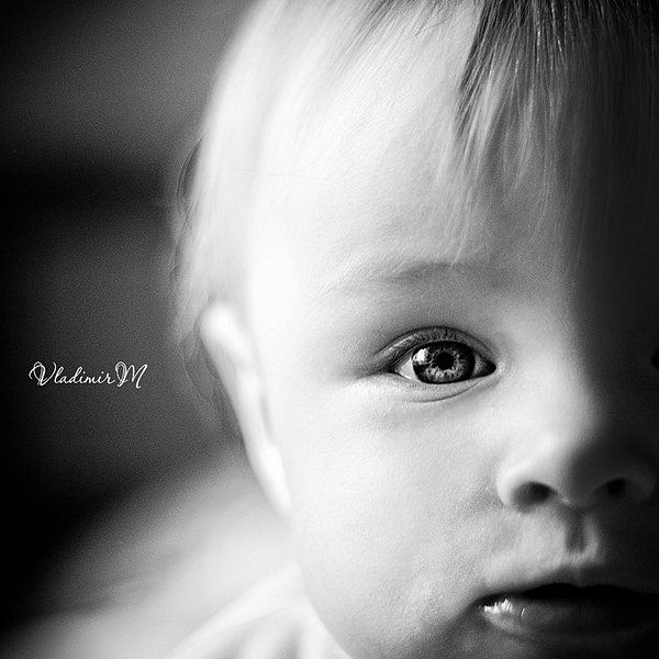 click for enlarge 800 X 800 292,7 Kb picture