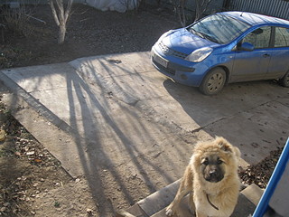 click for enlarge 1920 X 1440 695,7 Kb picture