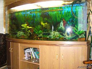 click for enlarge 640 X 480 44,1 Kb picture